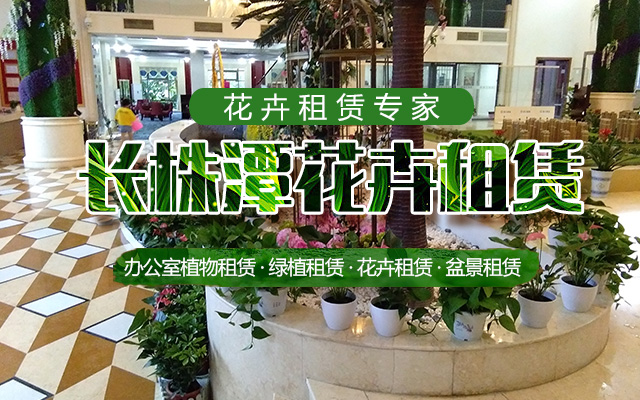 长沙绿植租摆|长沙办公室绿植|长沙花卉租赁——盆栽批发，就找福之林